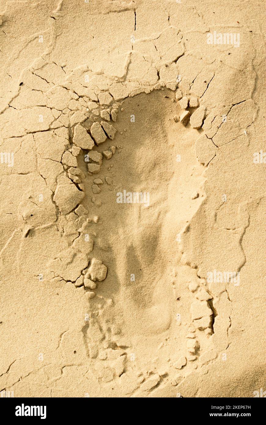 Fußspuren auf trockenem Sand Stockfoto