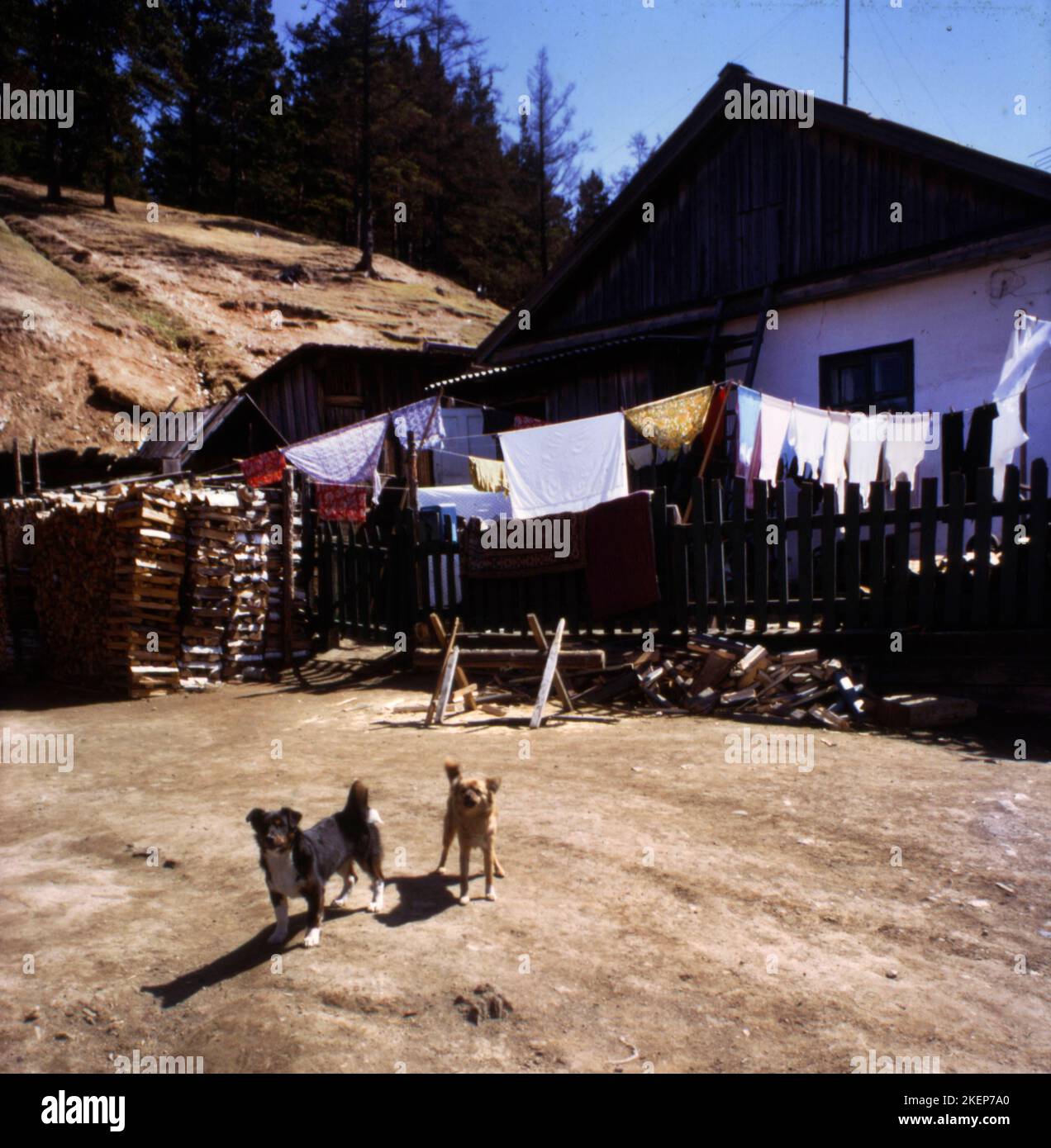 RUS, Sowjetunion, Moskau: Eindrücke aus der UdSSR 1972. Sibirien, Baikalsee Stockfoto