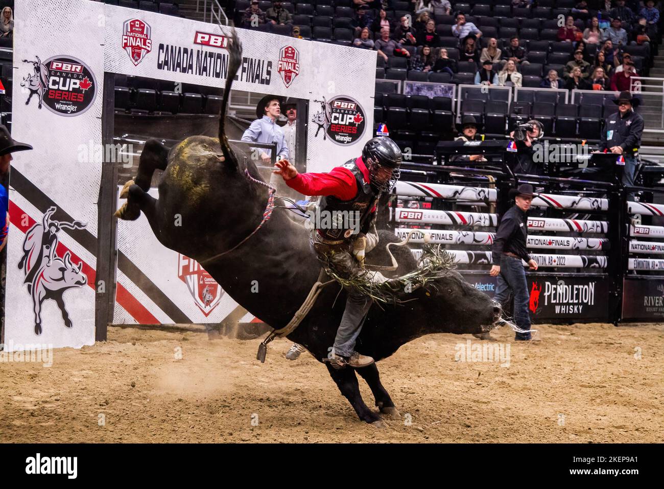 Rogers Place, Kanada. 12.. November 2022. Dakota Buttar wurde während der Canadian National Professional Bull Riding Championships in Aktion gesehen. Kredit: SOPA Images Limited/Alamy Live Nachrichten Stockfoto