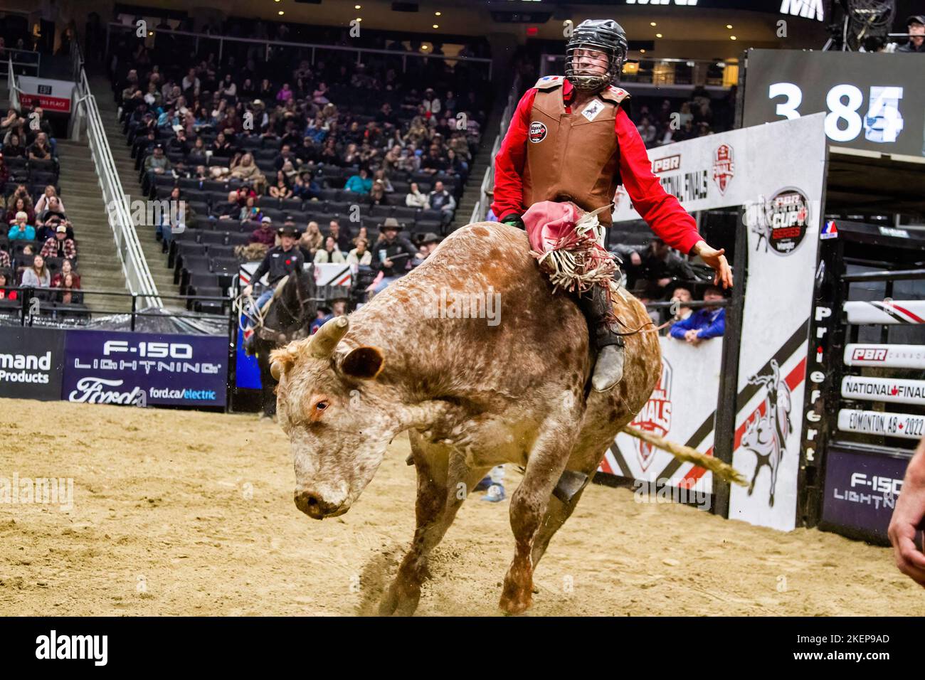 Rogers Place, Kanada. 12.. November 2022. Jake Gardner wurde während der Canadian National Professional Bull Riding Championships in Aktion gesehen. Kredit: SOPA Images Limited/Alamy Live Nachrichten Stockfoto