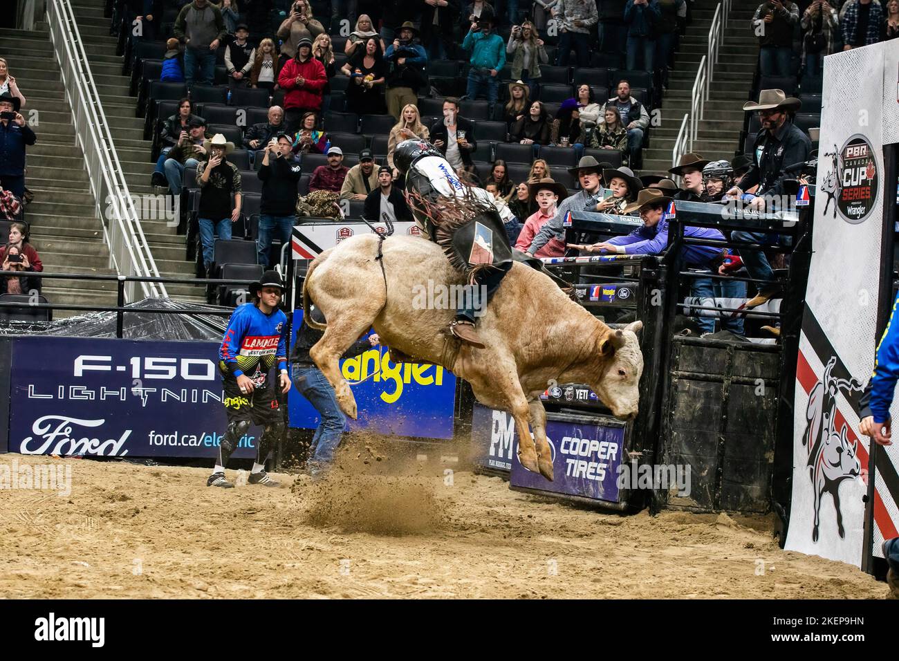 Rogers Place, Kanada. 12.. November 2022. Zane Lambert sah in Aktion auf seinem zweiten letzten Ritt vor seiner Pensionierung, bei den Canadian National Professional Bull Riding Championships. (Foto von Ron Palmer/SOPA Images/Sipa USA) Quelle: SIPA USA/Alamy Live News Stockfoto