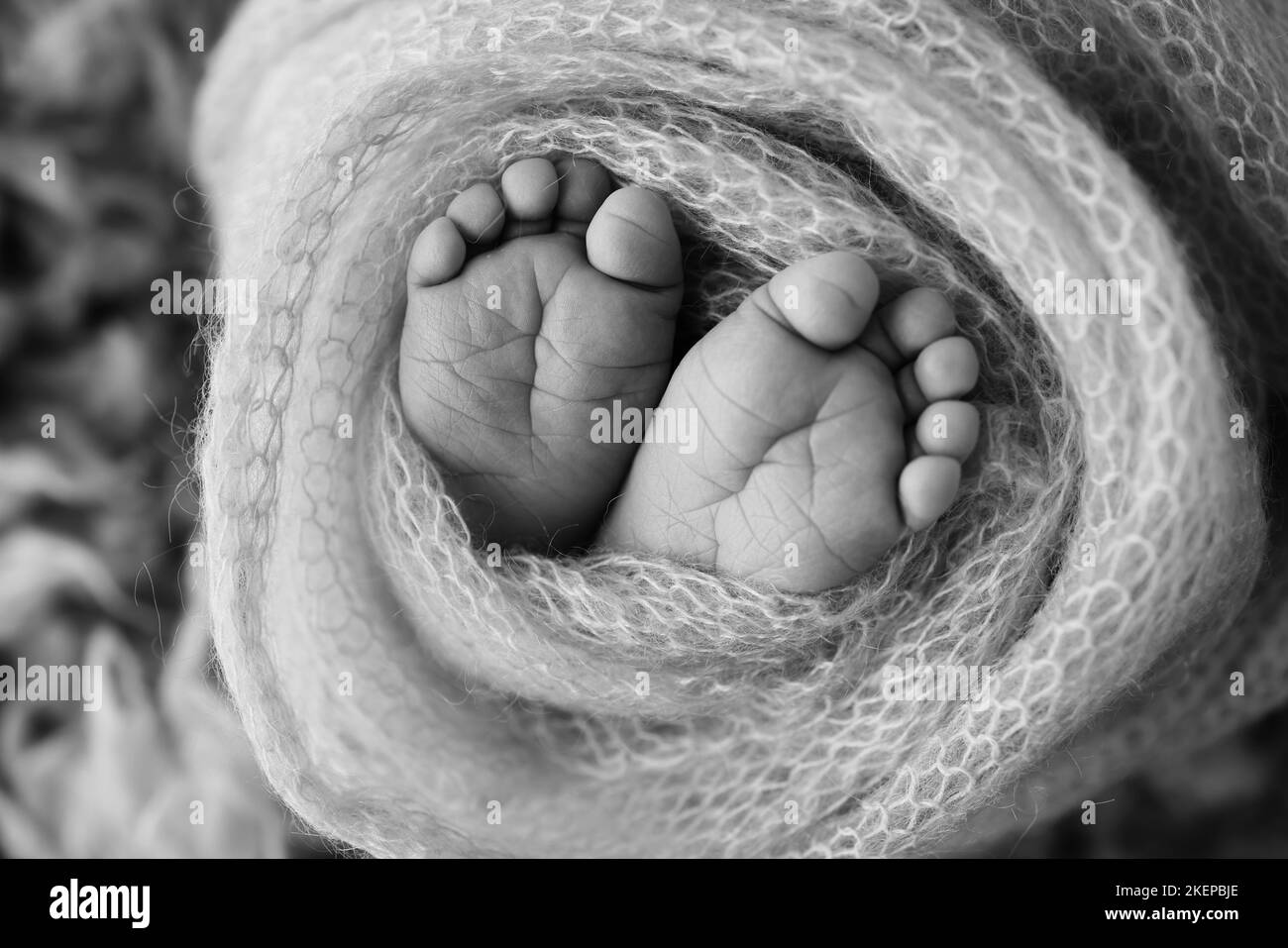 Weiche Füße eines Neugeborenen in einer Decke Nahaufnahme der Zehen, Fersen und Füße eines Babys. Stockfoto
