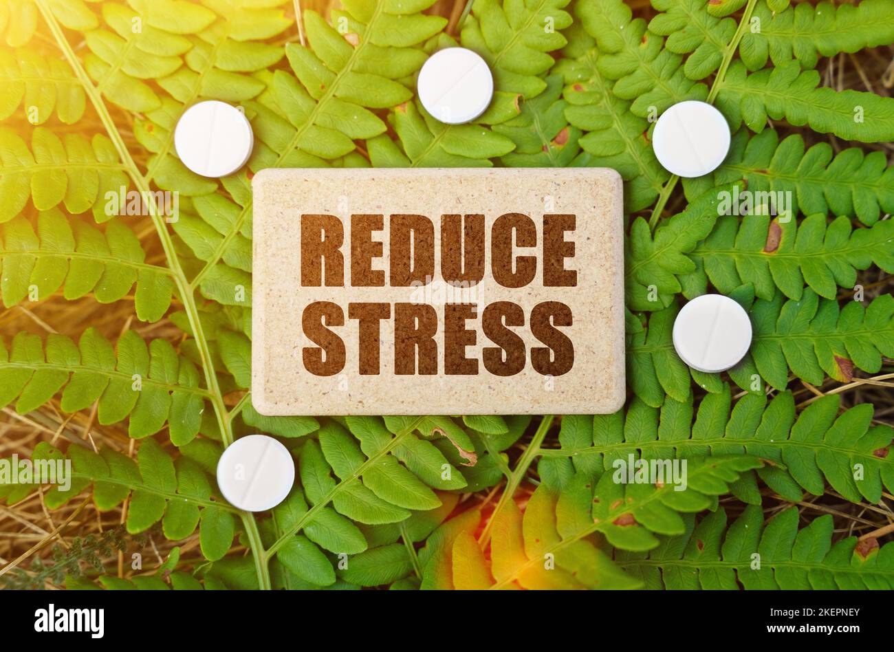 Medizinkonzept. Auf einem grünen Blatt der Pflanze sind Pillen und ein Schild mit der Aufschrift - STRESS REDUZIEREN Stockfoto