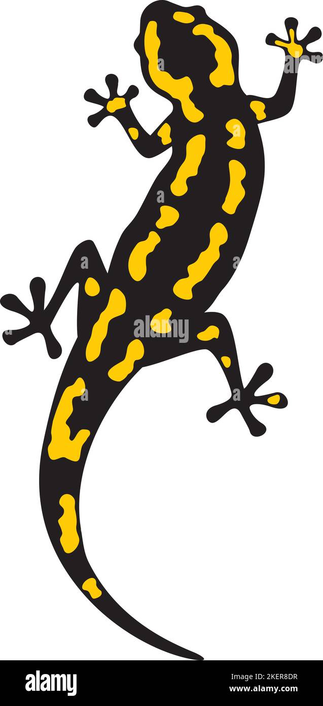 Fire Salamander Animal Color. Vektorgrafik. Stock Vektor