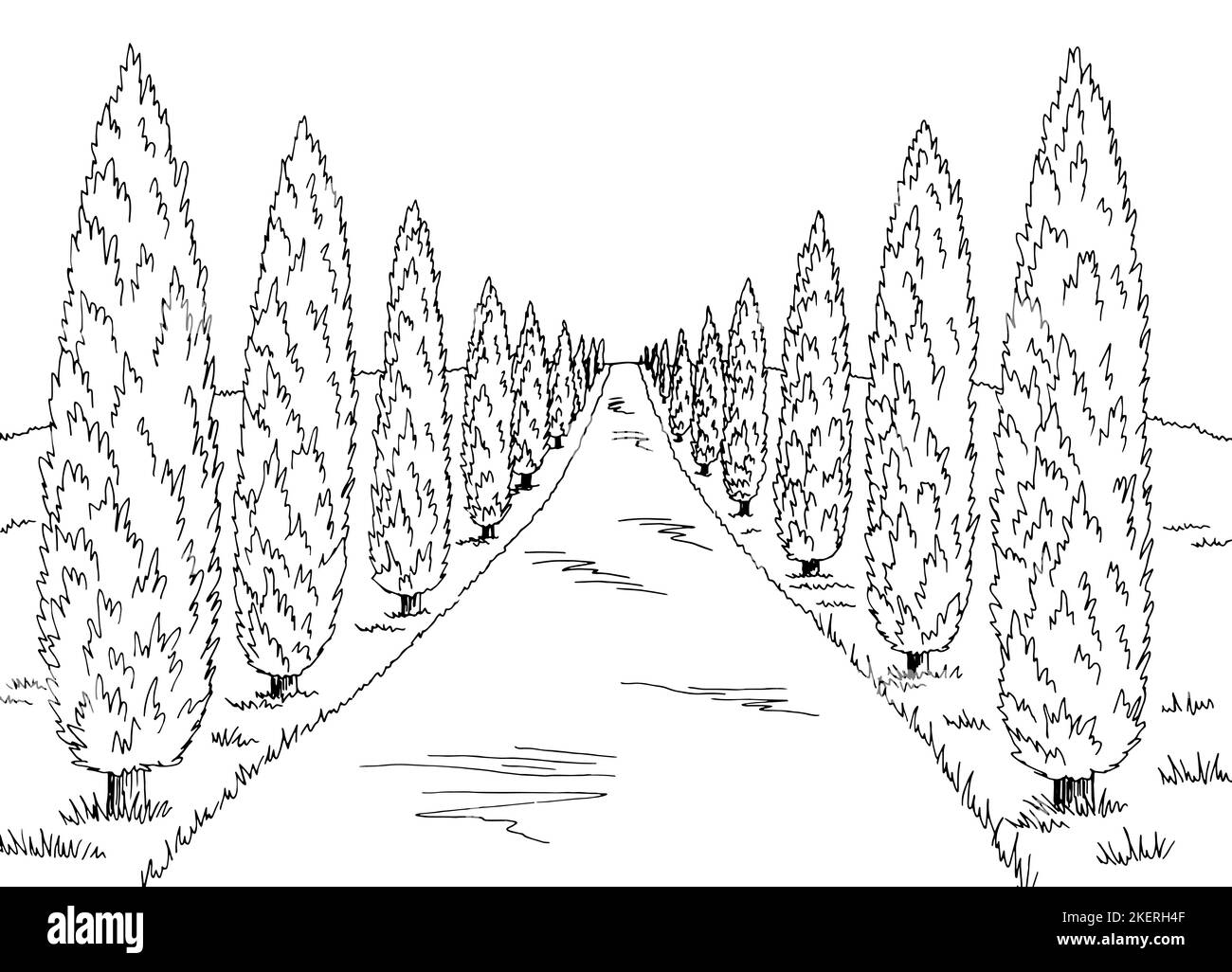Cypress Road Grafik schwarz weiß Landschaft Skizze Illustration Vektor Stock Vektor