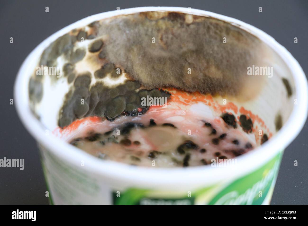 Verdorbene saure Sahne in einem Kunststoffbehälter, der mit verschiedenen Schimmelarten bedeckt ist Stockfoto