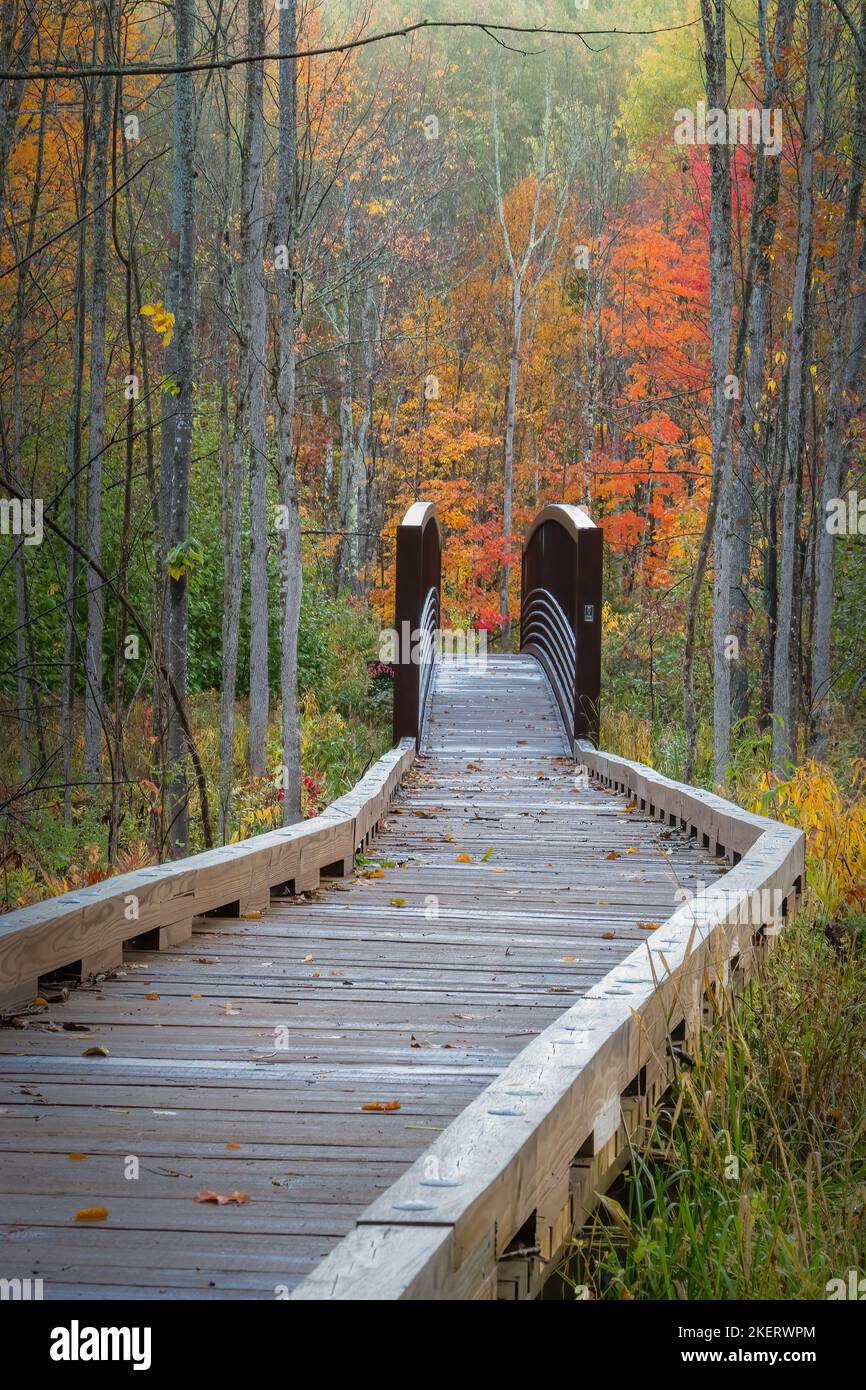 Die Wanderwege in das Erholungsgebiet Saint Peters Dome im Chequamegon-Nicolet National Forest im Norden von Wisconsin werden mit Farbe lebendig. Stockfoto