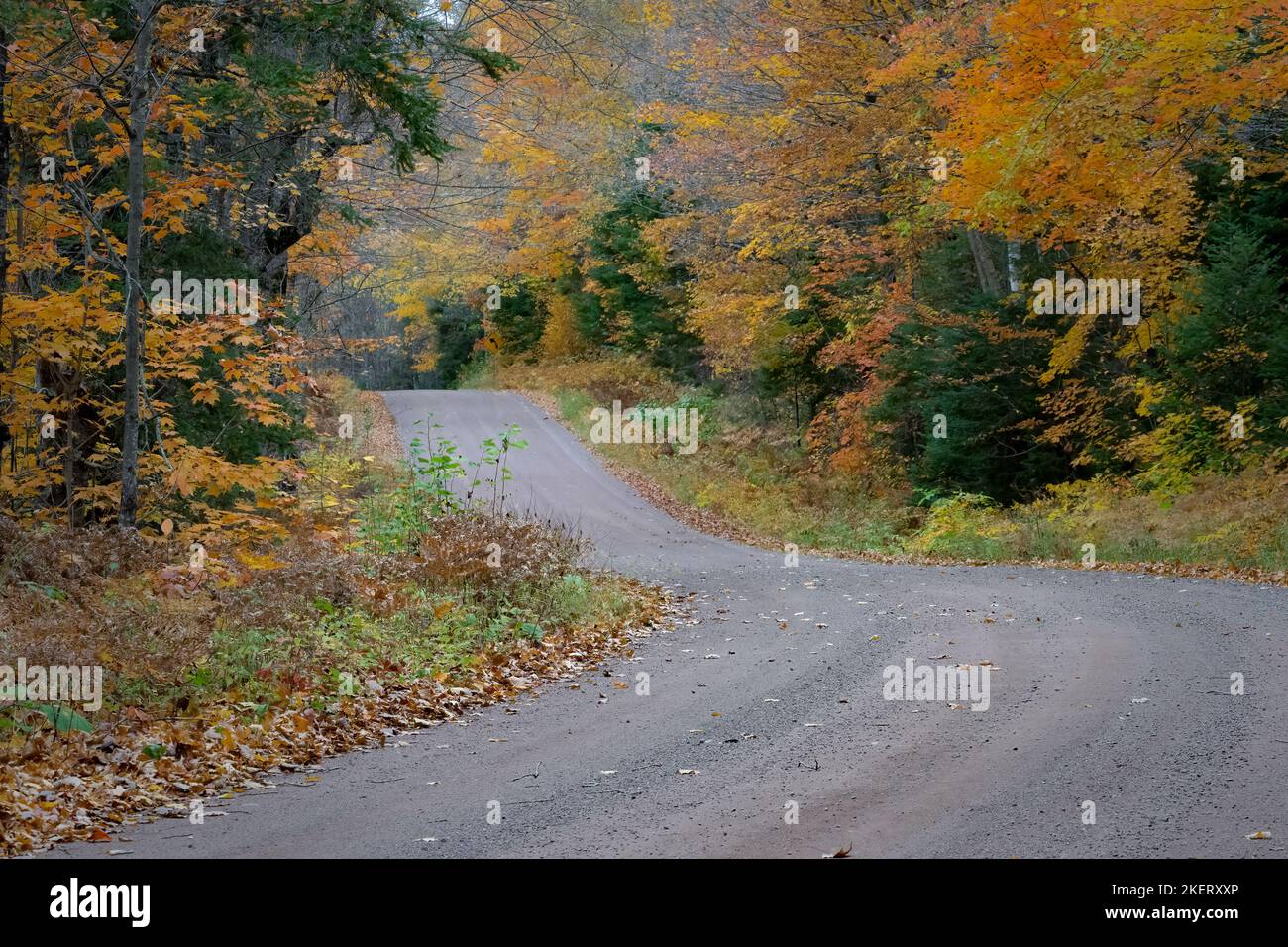 Die Forstverkehrsstraßen im Chequamegon-Nicolet National Forest im Norden von Wisconsin werden Ende September Anfang Oktober mit Farbe belebt. Stockfoto