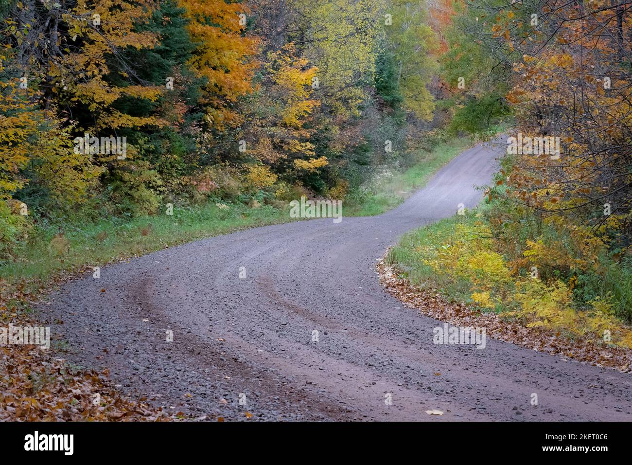 Die Forstverkehrsstraßen im Chequamegon-Nicolet National Forest im Norden von Wisconsin werden Ende September Anfang Oktober mit Farbe belebt. Stockfoto