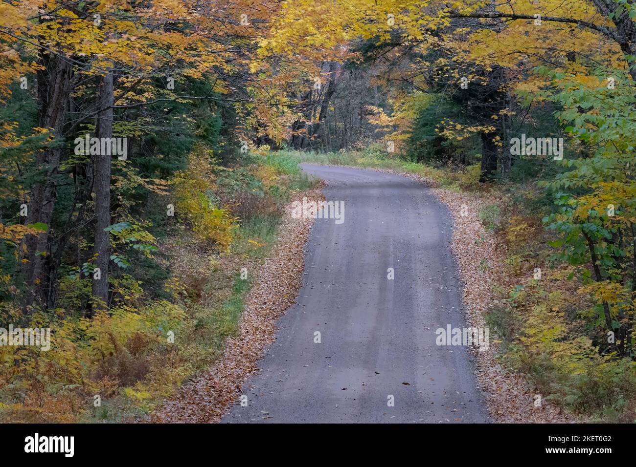 Die Forstverkehrsstraßen im Chequamegon-Nicolet National Forest im Norden von Wisconsin werden Ende September Anfang Oktober mit Farbe belebt. Stockfoto