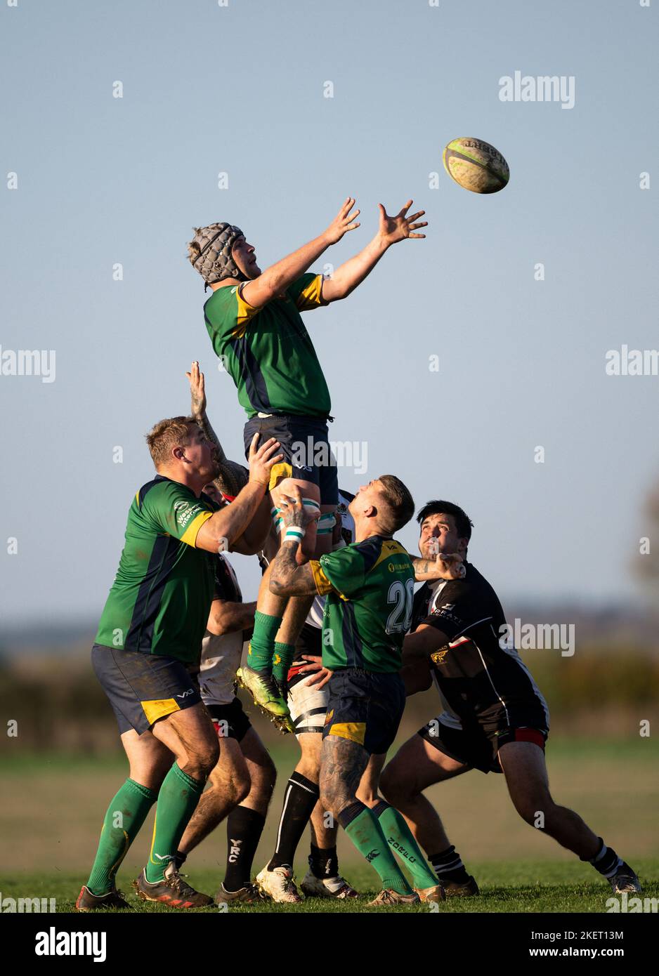 Rugby-Spieler in Aktion. Dorset, England, Vereinigtes Königreich. Stockfoto