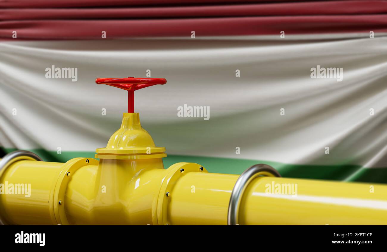 Öl- und Gaspipeline in Ungarn. Konzept der Ölindustrie. 3D Rendering Stockfoto