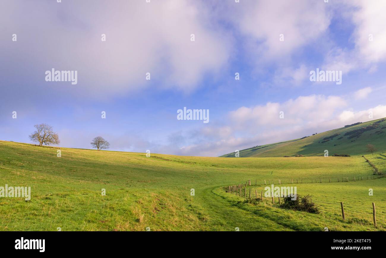 Heller, sonniger Novembermorgen auf Pea Down nahe East Dean South Downs East Sussex Stockfoto
