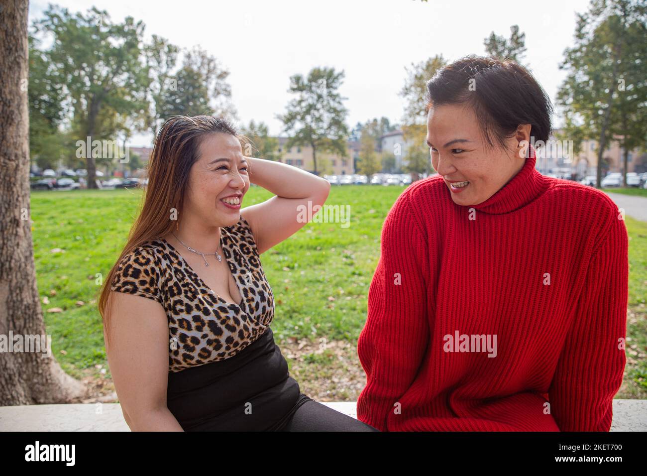 Zwei chinesische Damen treffen sich, um in einem Freiluftpark zu plaudern, Freundschaftskonzept. Stockfoto