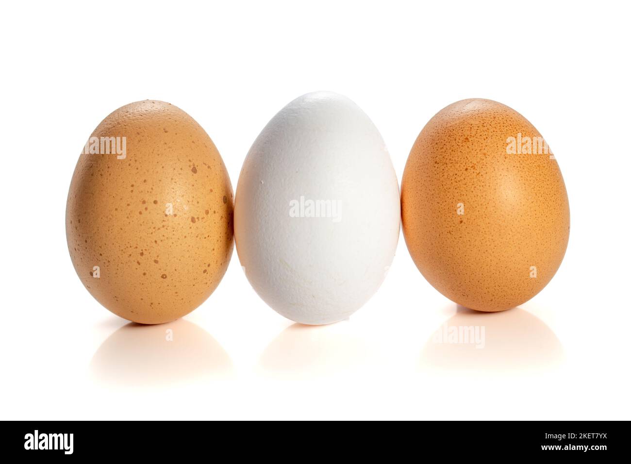 Ein weißes Ei zwischen zwei braunen Eiern Stockfoto