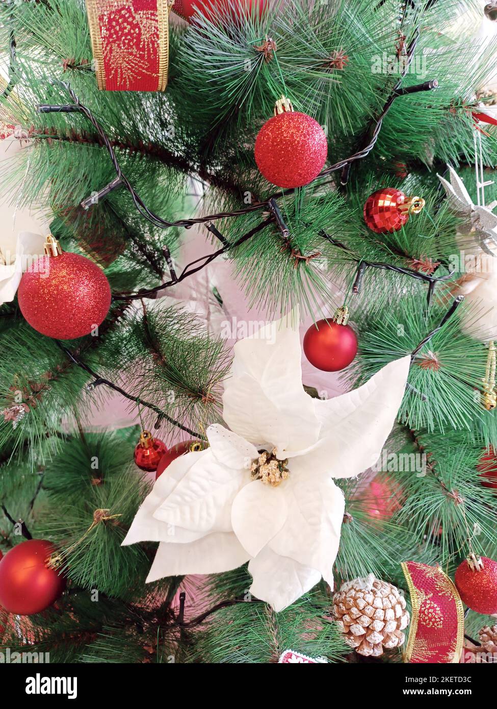 Weihnachtsdekorationen hängen auf dem grünen Baum, Kunststoff, italienische Kultur. Stockfoto