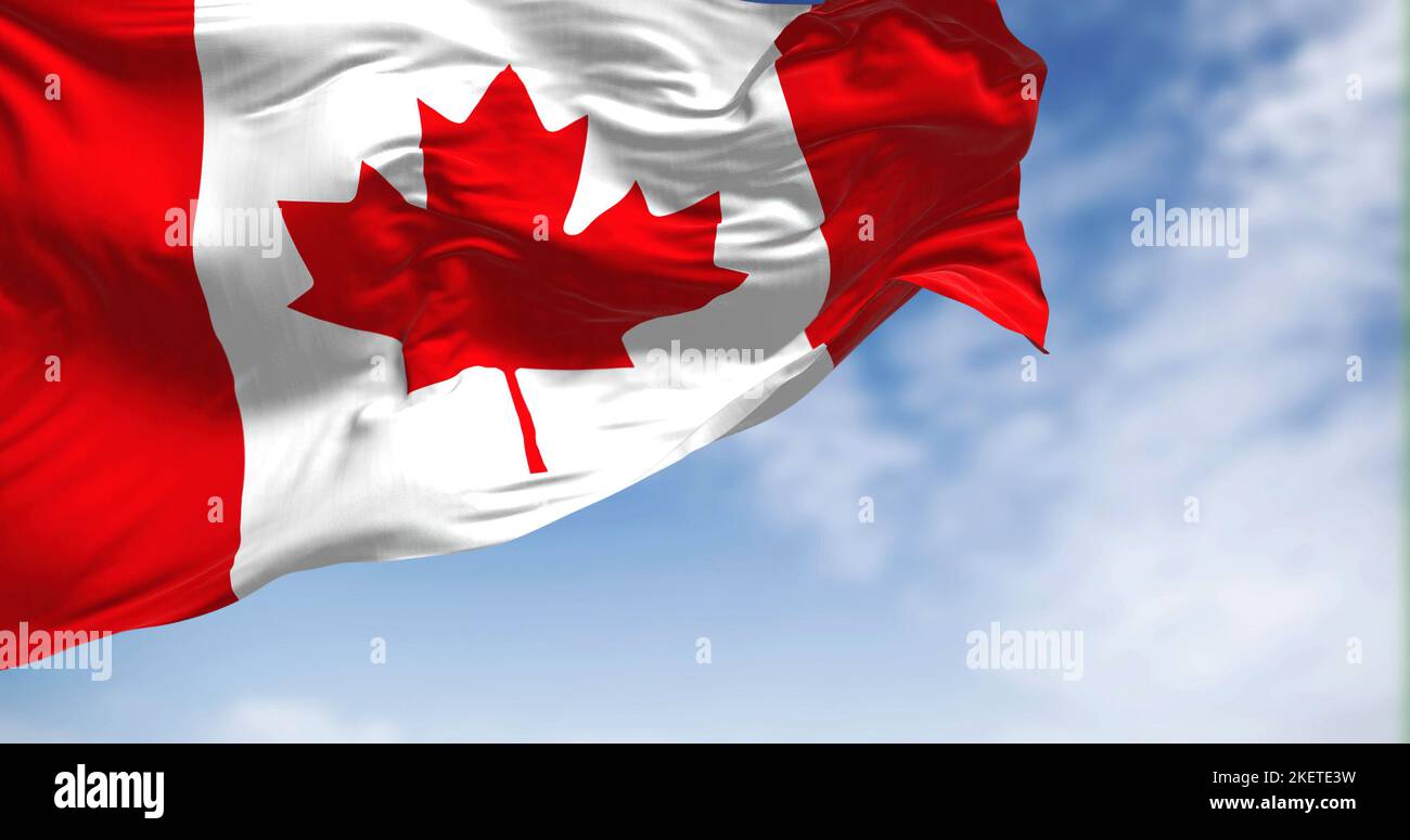 Die kanadische Nationalflagge winkt an einem klaren Tag im Wind. Kanada ist ein Land in Nordamerika. Selektiver Fokus. 3D Abbildung Stockfoto