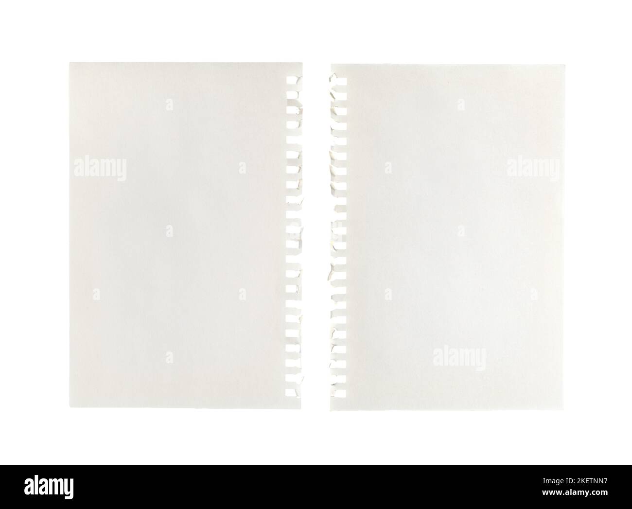 Zwei leere Blätter Papier mit seitlicher Perforation auf einer transparenten Oberfläche Stockfoto