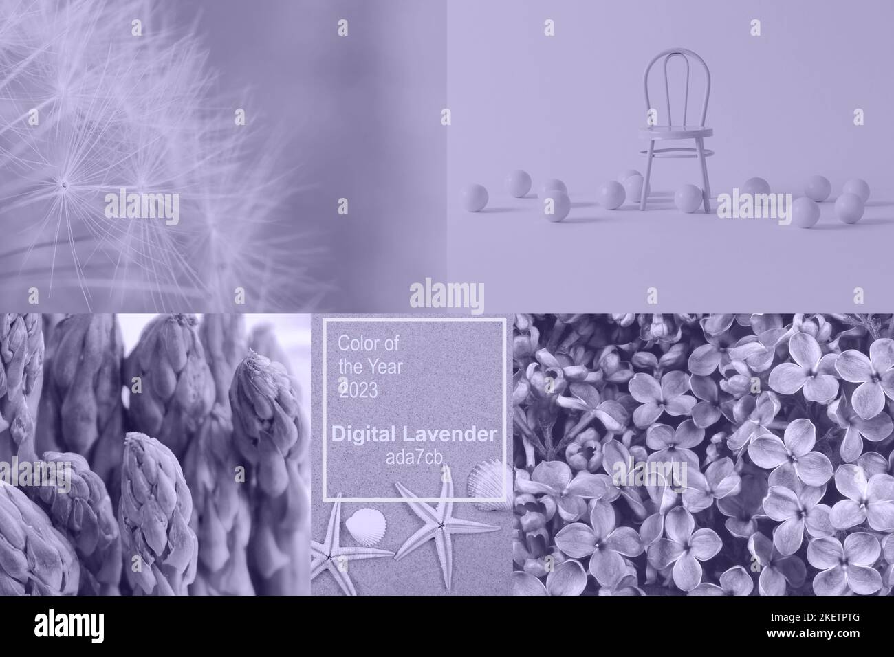 Digital Lavendel Farbe des Jahres 2023. Collage von Fotos in trendigen Farben mit Stuhl, Dandelions Flaumchen, Spargel, Seesterne, Fliederblumen. Text Stockfoto