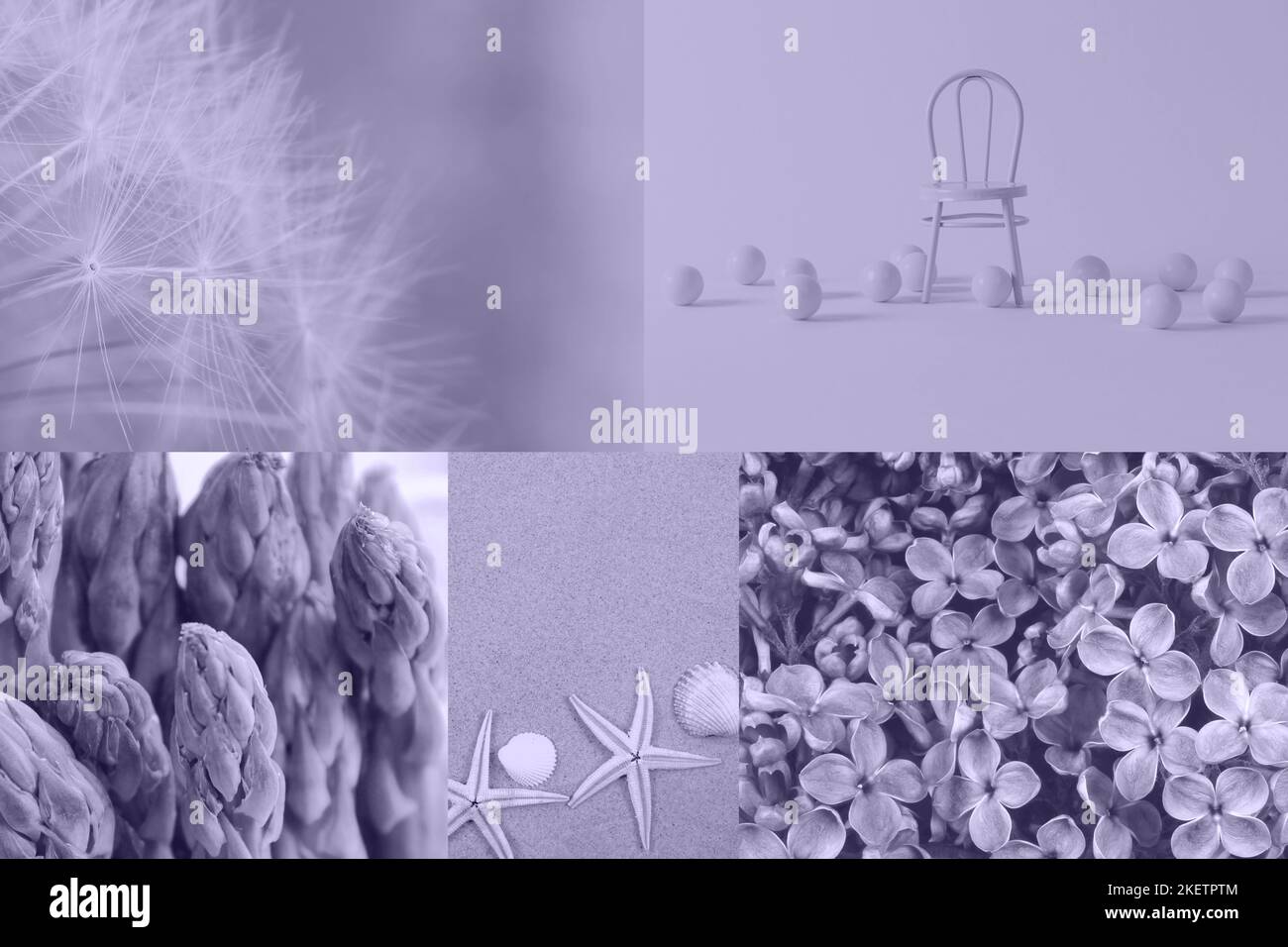 Digital Lavendel Farbe des Jahres 2023. Collage von Fotos in trendigen Farben mit Stuhl, Dandelions Flaumchen, Spargel, Seesterne, Fliederblumen. Stockfoto