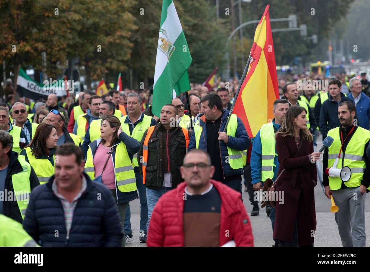 Madrid, Spanien. 14.. November 2022. Madrid Spanien; 11.14.2022.- Nationale Plattform zur Verteidigung des Straßentransportes bei unbefristeten Streiks, wegen Nichteinhaltung des Gesetzes, das Arbeiten unter Kostenpreisen verbietet Kredit: Juan Carlos Rojas/dpa/Alamy Live News Stockfoto