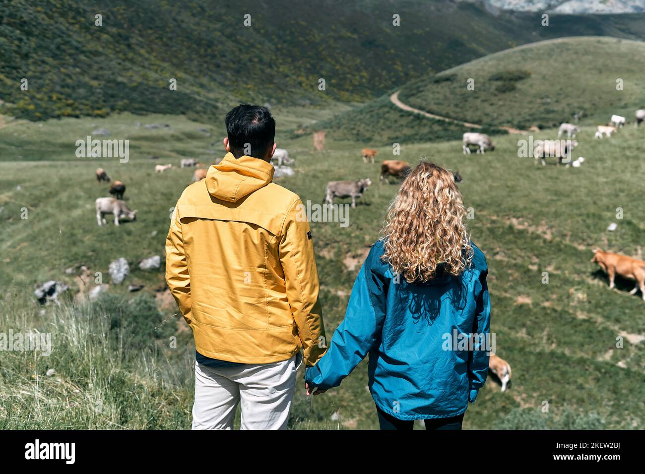 Dunkelhaariger Junge mit gelber Jacke und blondes Mädchen mit blauer Jacke mit rutendem Rücken stehend, die Kühe im Tal betrachtend, ruta del Cares Stockfoto