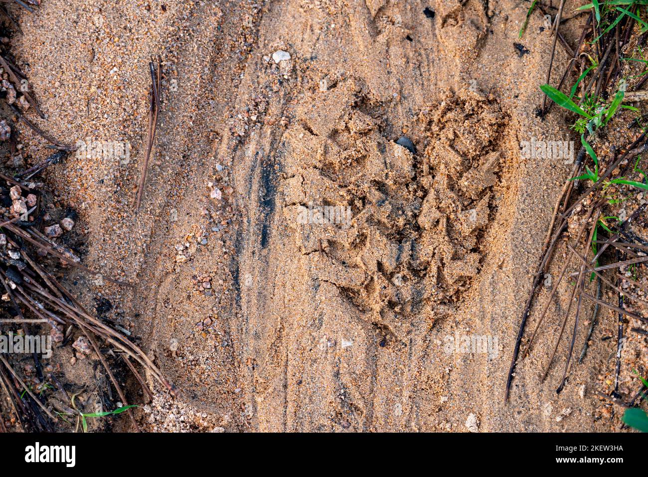 Sand mit herzförmigen Fußabdrücken und fließenden Regenabflussspuren Stockfoto