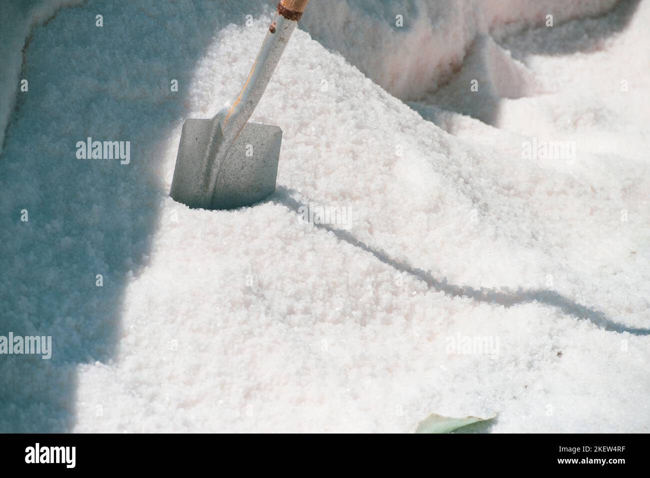 Schaufel in einem Salzhaufen, der aus den Salzebenen entnommen wurde. Stockfoto