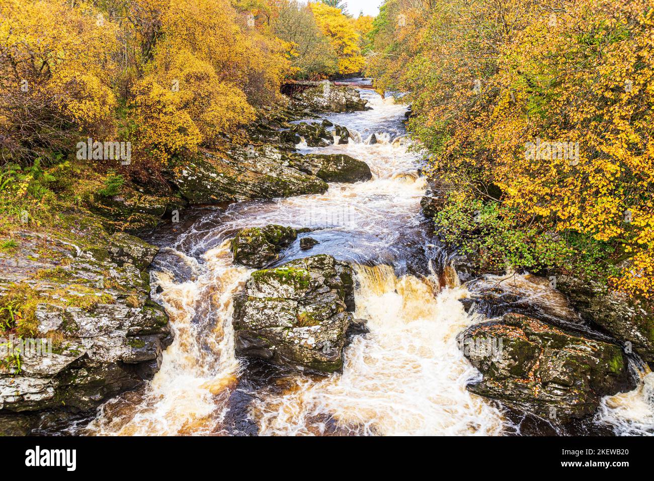 Der Black Water River (der Glen Shee als Shee Water entwässert) im Herbst nördlich der Bridge of Cally, Perth & Kinross, Schottland, Großbritannien Stockfoto