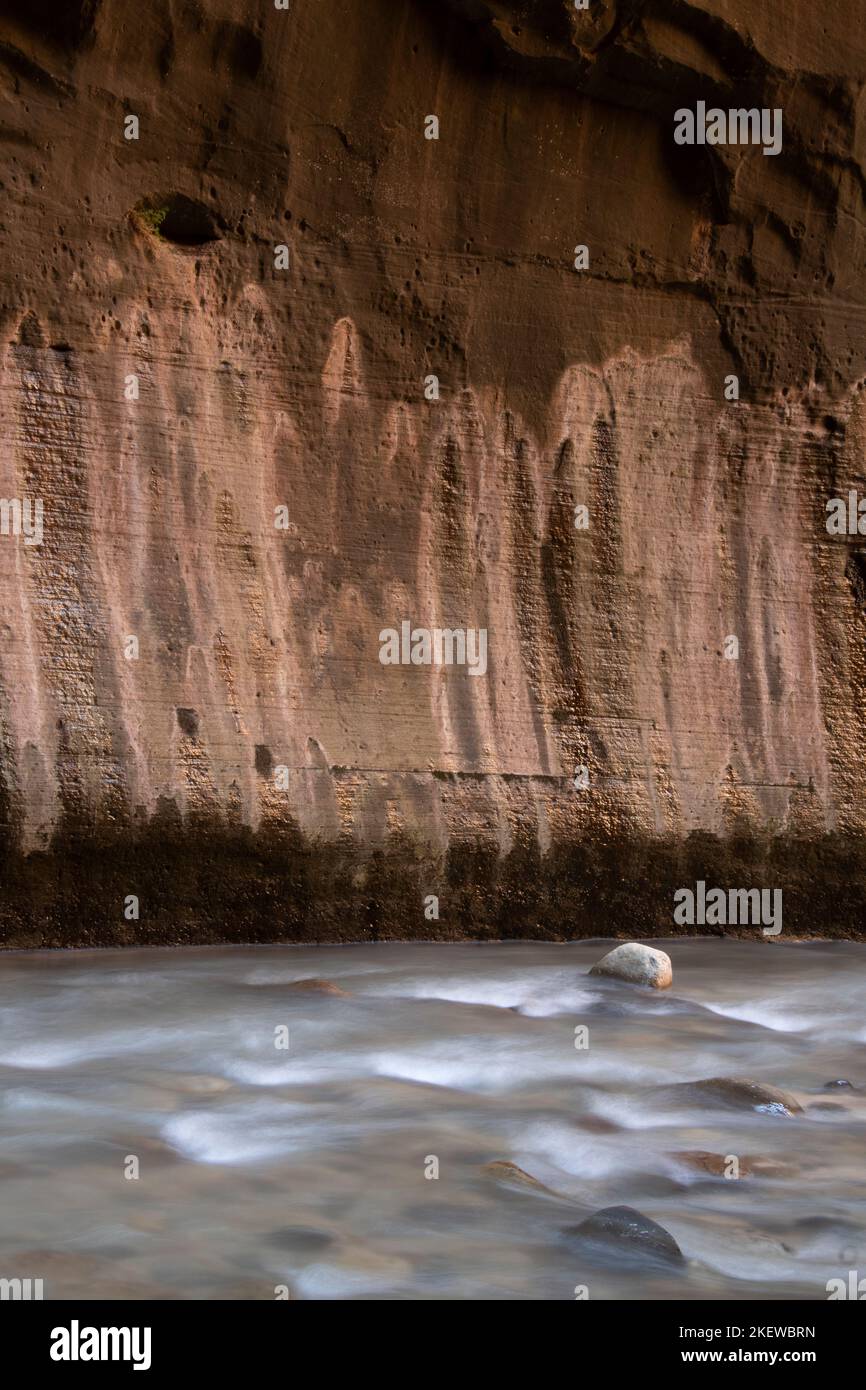 The Narrows of the Virgin River, Zion National Park, Utah, Steaks mit „zertlackter Farbe“ entlang der Canyon-Wand Stockfoto