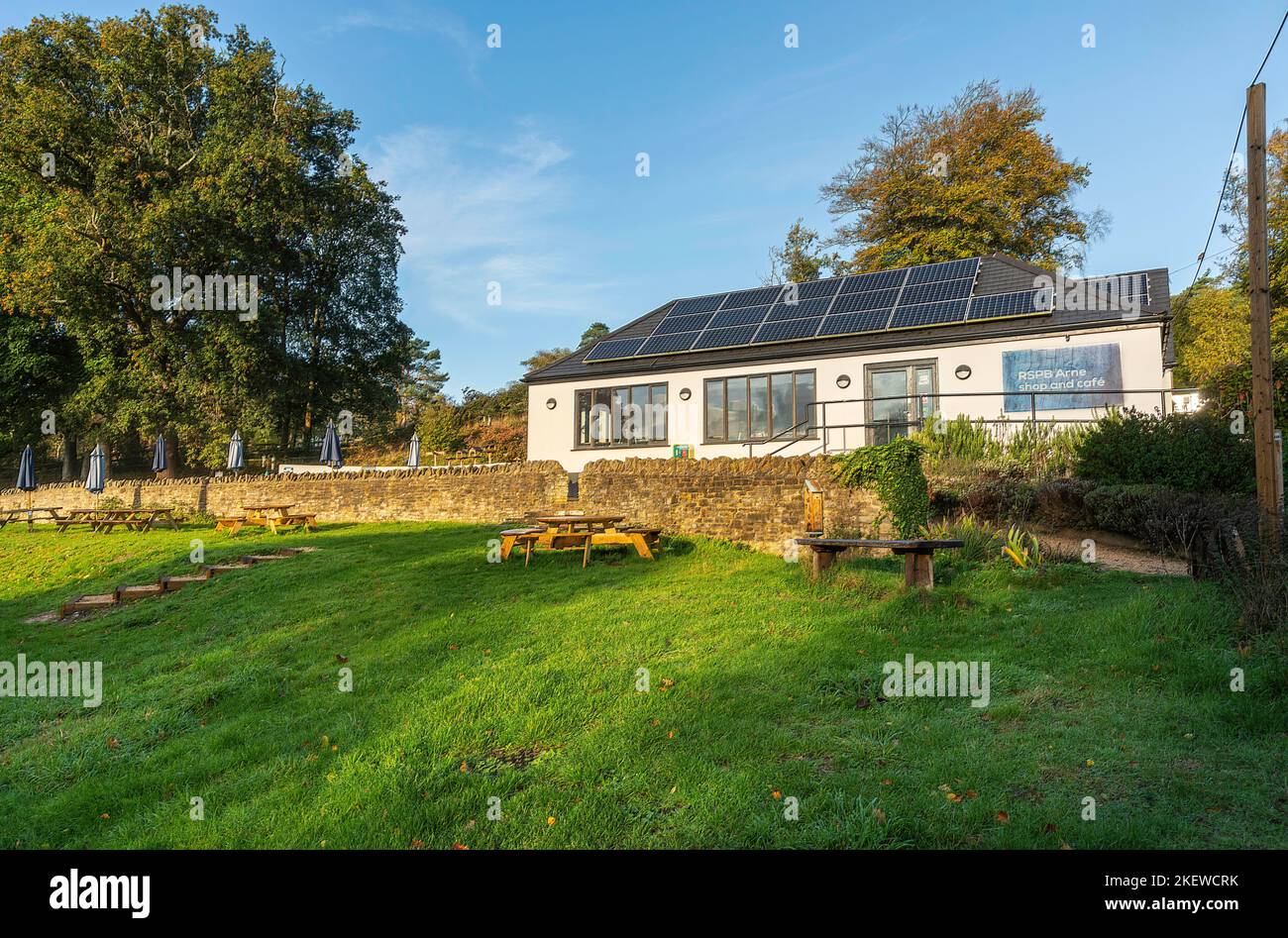 Café und Geschäft von RSPB Arne mit Garten, Steinmauer und Parasols und Terrassentische an einem blauen sonnigen Morgen. Arne, Wareham, Dorset Stockfoto