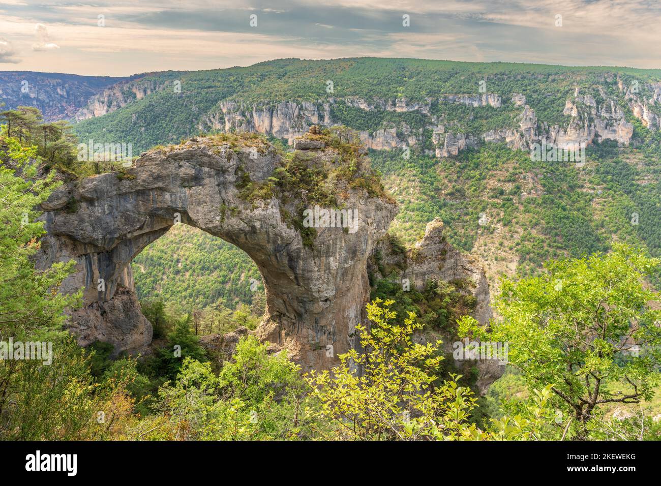 Steinbogen über den Gorges du Tarn im Nationalpark Cevennes. Massiv in Zentralfrankreich. Stockfoto