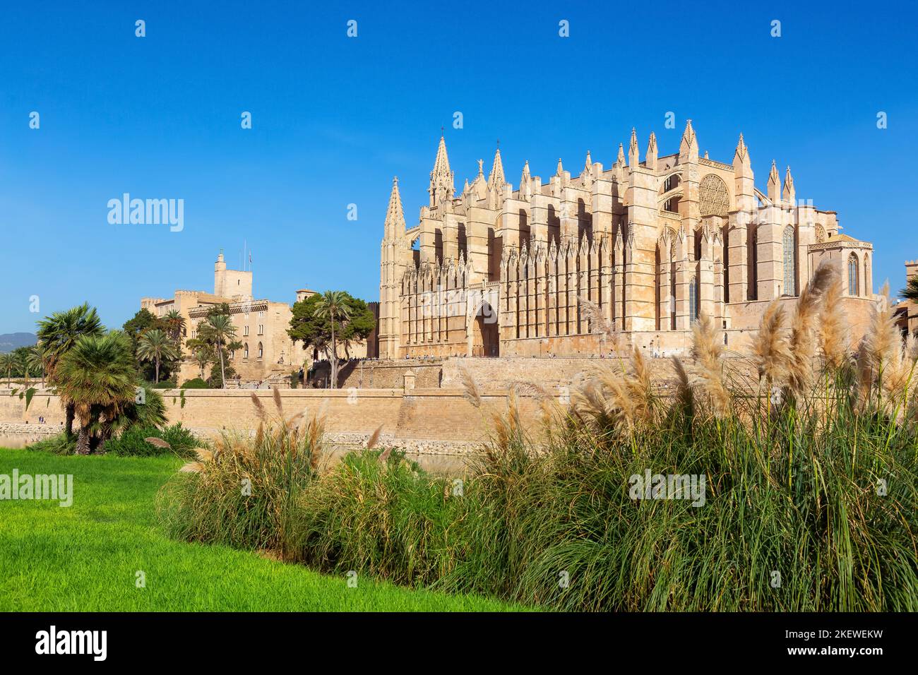 Catedral-Basilica de Santa Maria de Mallorca in Palma, Balearen, Spanien Stockfoto