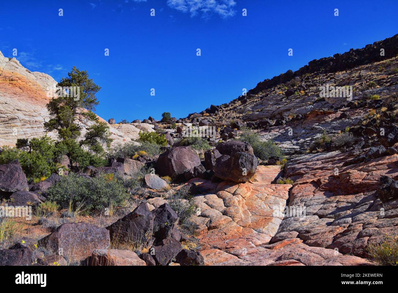 Jones Bones Wanderweg St. George Sandstone Snow Canyon Utah, am Zion National Park. USA. Stockfoto