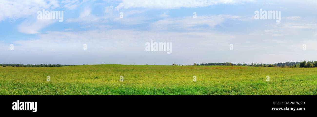 Feld und Wald am Horizont Weitwinkel malerischen Blick. Extragroße Panoramalandschaft. Stockfoto