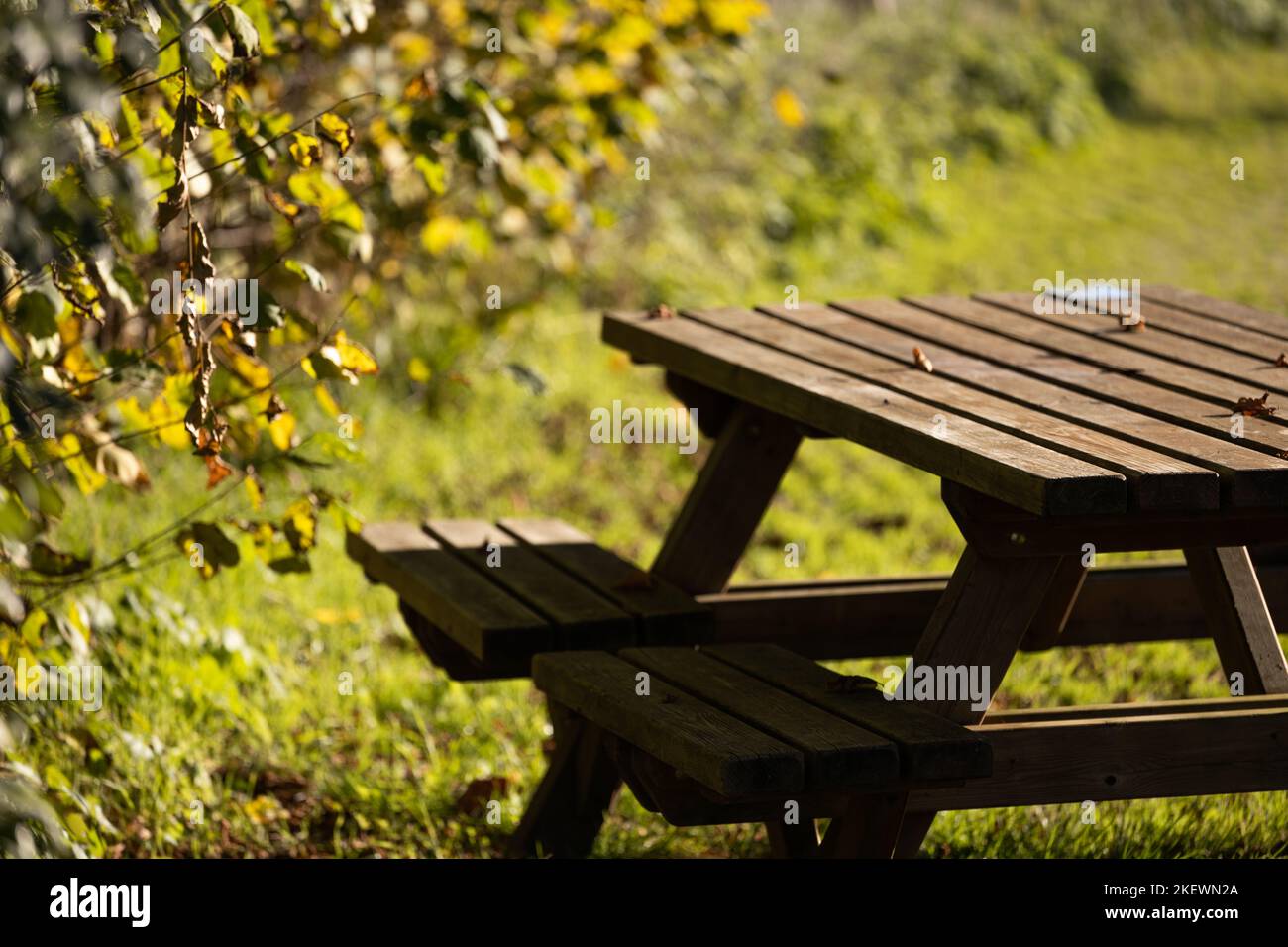 Rastplatz im Park, Picknicktisch in friedlicher Umgebung Stockfoto