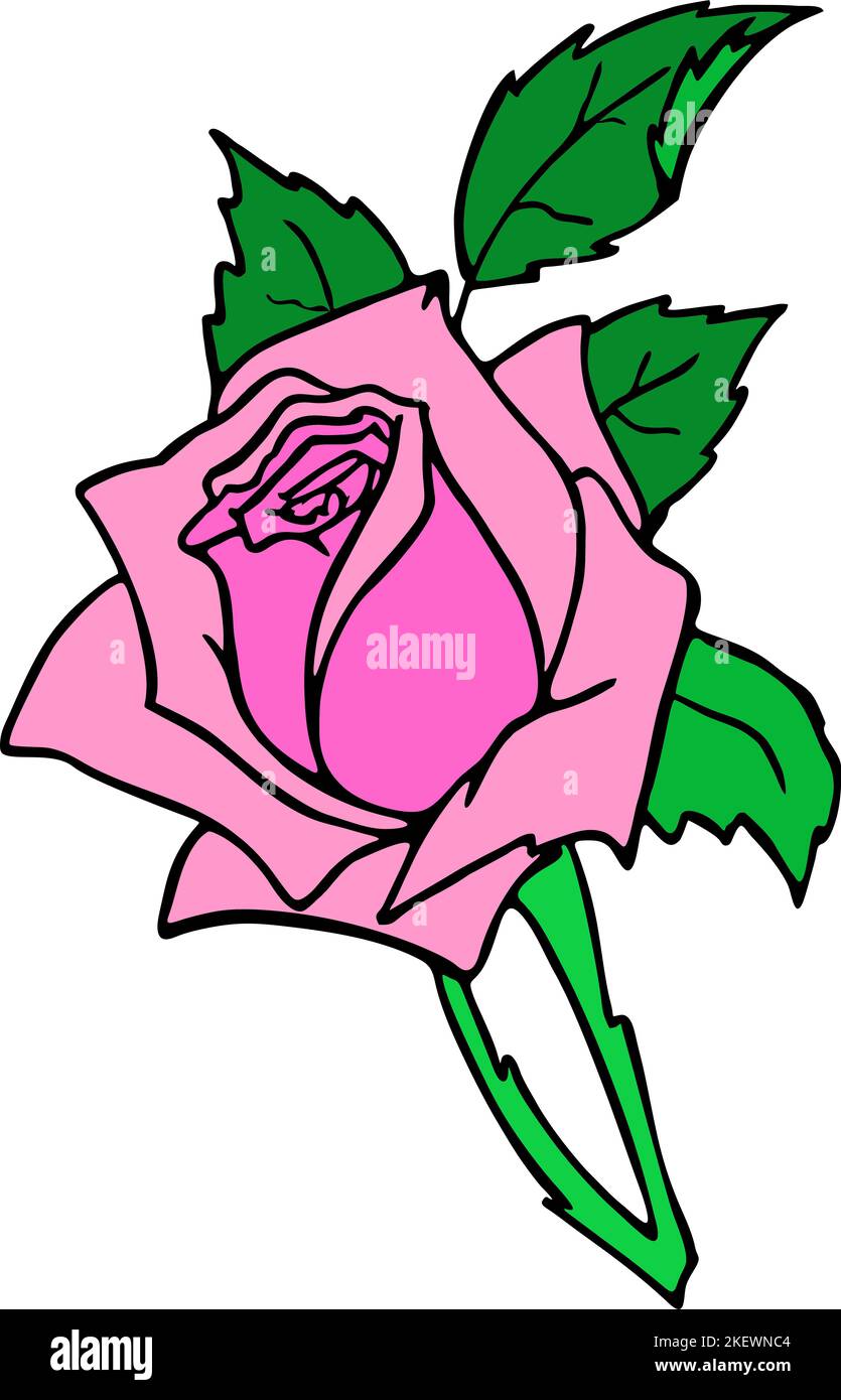 Rosenzweig Zeichnung mit rosa Blume und Blättern, isoliertes Element, Design Stockfoto
