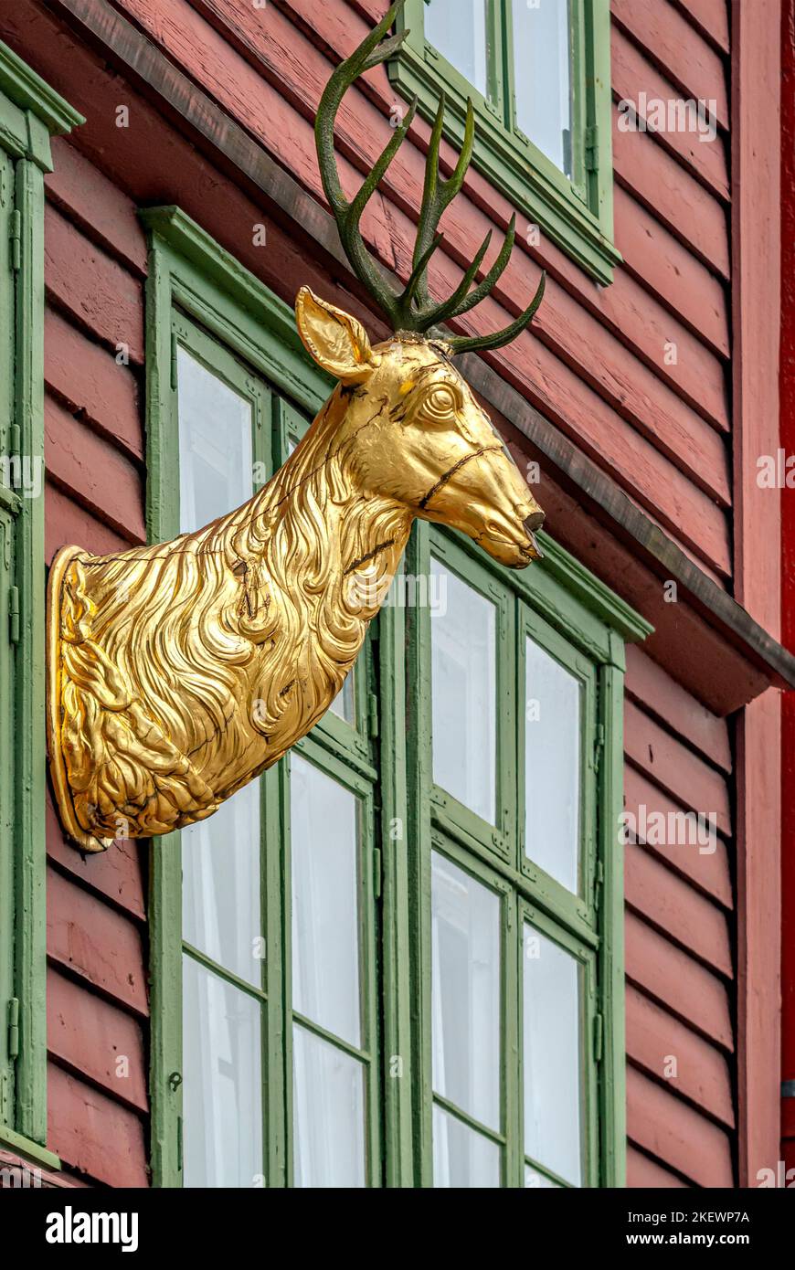 Goldener Hirsch auf einem Gebäude im hanseatic Brygge Heritage Museum in Bergen, Norwegen Stockfoto