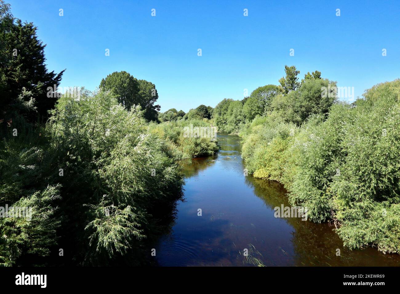 Der Fluss Ure bei Boroughbridge Stockfoto