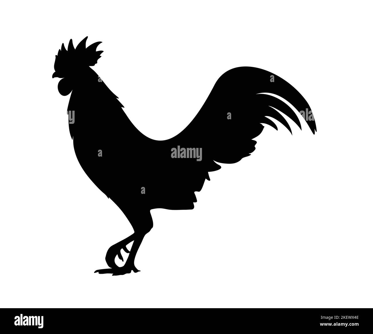 Vektorgrafik. Schwarze Silhouette eines Hahns, der auf einem Bein steht. Isoliert auf weißem Hintergrund. Stock Vektor