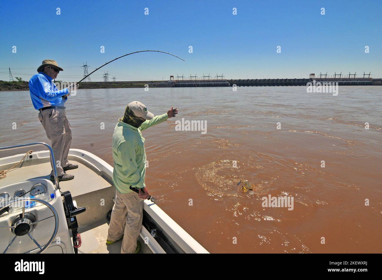 Kampf mit einem riesigen 40 bis 55 Pfund dorado auf das Boot ist ein Kampf, den die meisten Angler nicht vergessen werden. Diese Giganten wachsen auf dem Uruguay-Fluss zu solchen Gewichten heran. Stockfoto