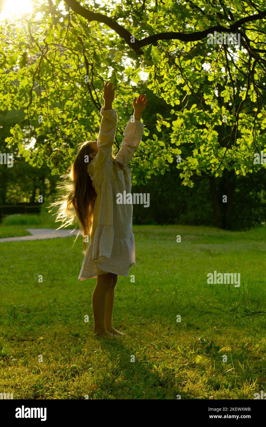 Ein schönes Mädchen in einem Kleid erstreckt sich zu einem Baumzweig im Park. Potenzielles Wachstums- und Zielerreichungskonzept. Stockfoto