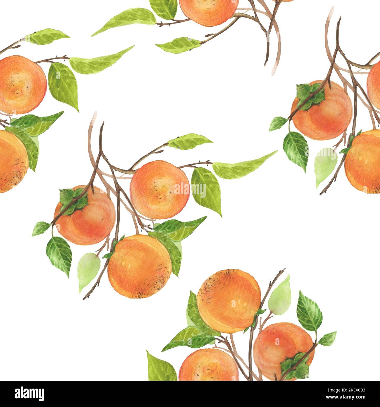 Aquarell-botanische Illustrationen. Nahtloses Muster mit Kaki-Zweig. Aquarell von Hand gezeichnet. Weihnachtsfrüchte Stockfoto
