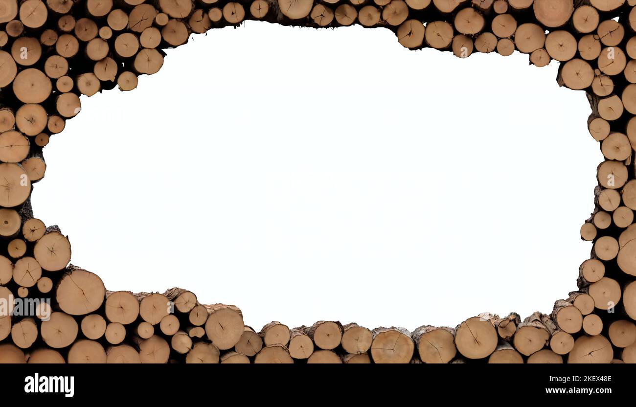 Rahmen aus Baumstämmen, Naturholz mit leerem Raum, isoliert auf weißem Hintergrund Banner Stockfoto