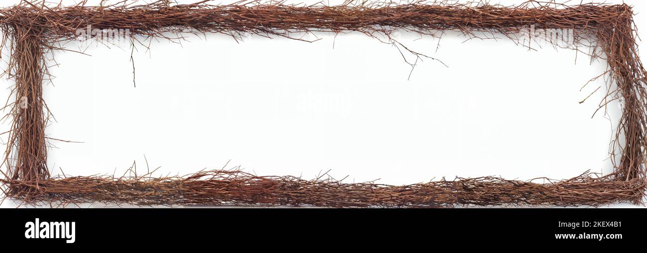 Rahmen aus Zweigen, isoliert auf weißem Hintergrundbanner Stockfoto