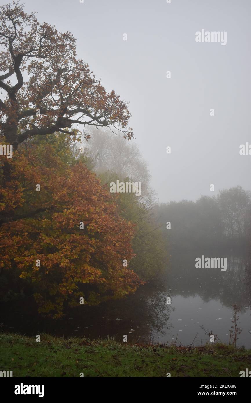 Farbenfrohe Herbstfärbung und ein Teich bei nebligen Wetterbedingungen. Stockfoto