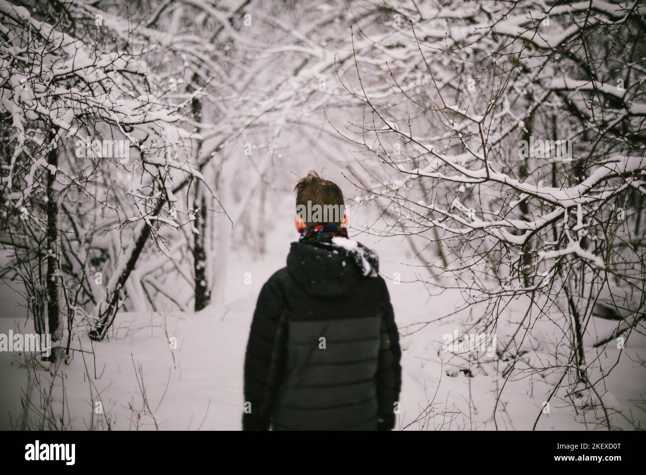 Junge geht im Schneesturm mit weißem Wunderland in den Wald Stockfoto