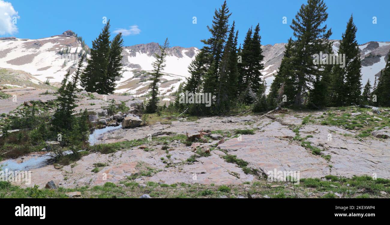 Ein starker Bach bildet sich in der Spalte eines großen Felsens Stockfoto