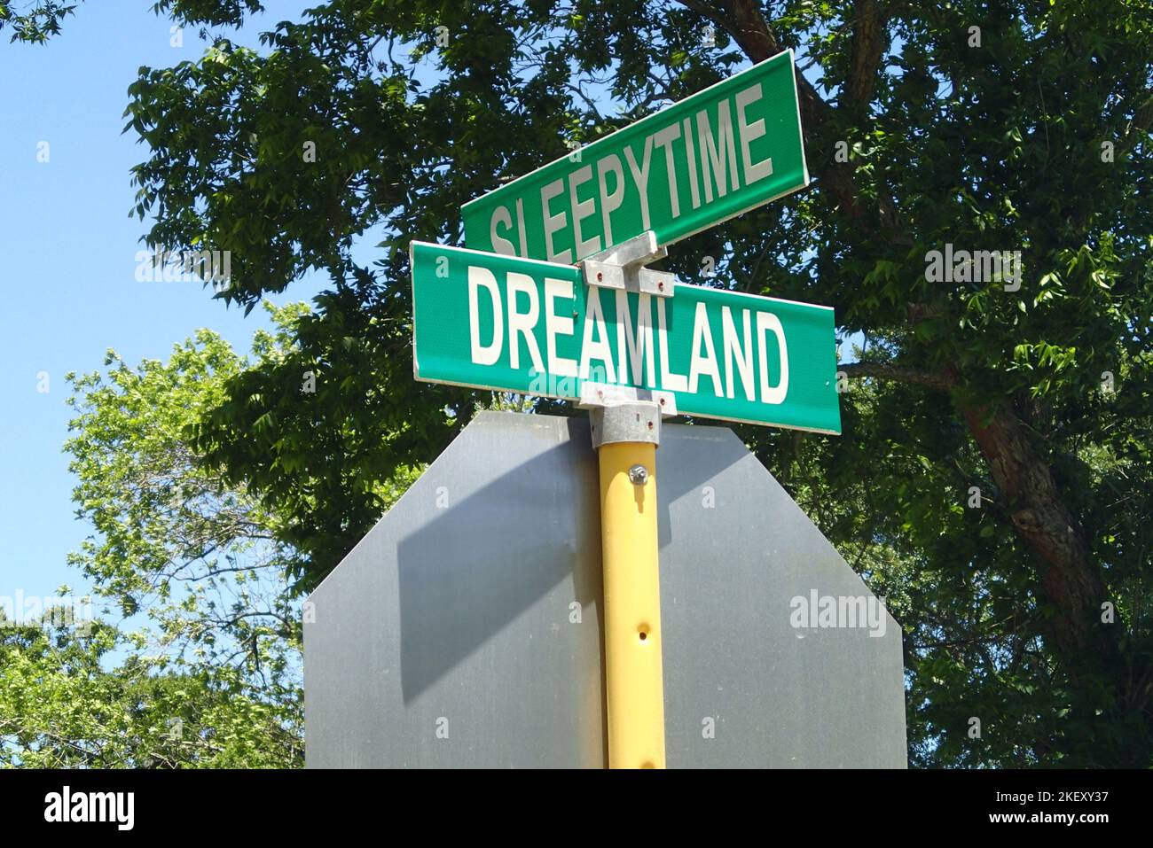 Kreuzung von „Sleepy Time“ und „Dreamland“ Stockfoto