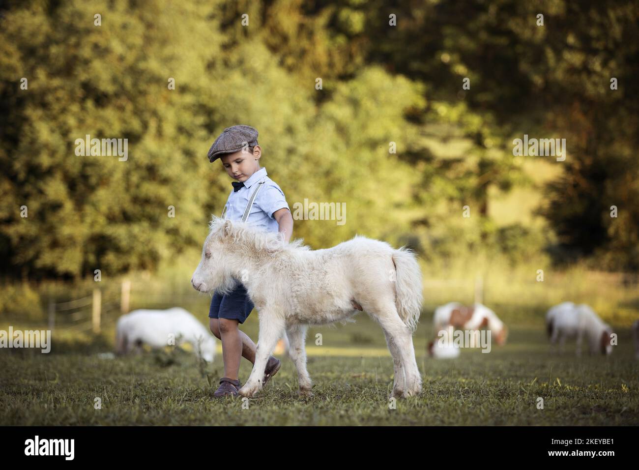 Junge und Fohlen Stockfoto